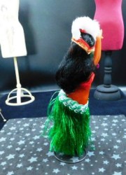 hawaii hula b